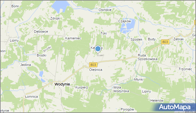 mapa Kolonia Oleśnica, Kolonia Oleśnica na mapie Targeo